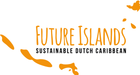 Future Islands Logo